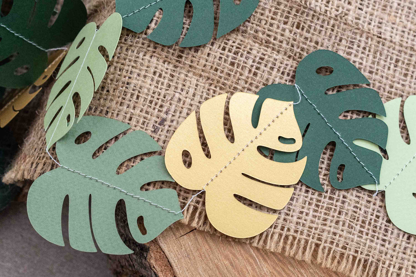 Lion Gold and Green Party Bundle