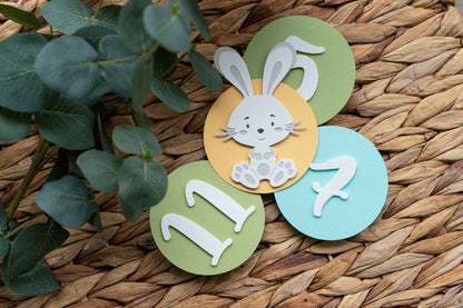 Bunny Turquoise Monthly Photo Banner