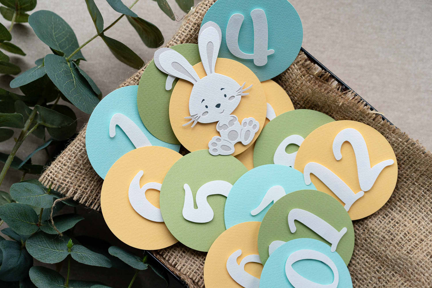 Bunny Turquoise Monthly Photo Banner